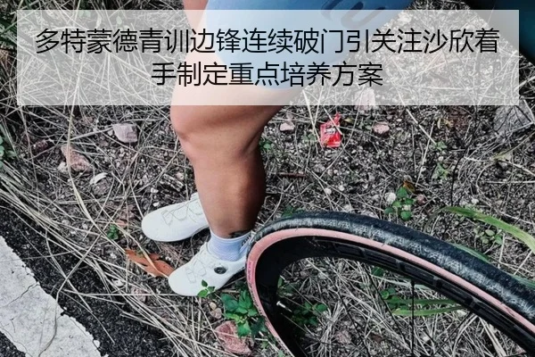 多特蒙德青训边锋连续破门引关注沙欣着手制定重点培养方案